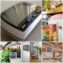 Testo 608-H1 Hassas Nem/Sıcaklık/Çiğlenme Noktası Ölçüm Cihazı