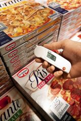 Testo 103 Katlanır Çubuklu Termometre (ÇOK HASSAS)